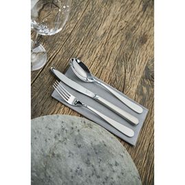 Besteckset 68-tlg, mattiert/poliert